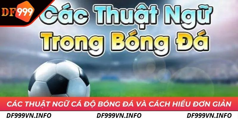 Cẩm nang thuật ngữ cá độ bóng đá để trở thành cao thủ cá cược