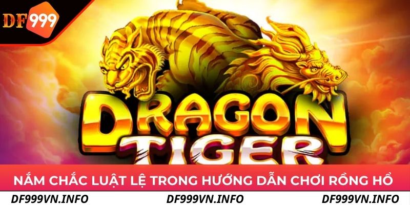 Nắm chắc luật lệ trong hướng dẫn chơi Rồng Hổ 