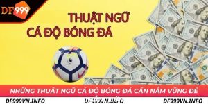 Thuật Ngữ Cá Độ Bóng Đá - Nắm Vững Kèo Để Thắng Lớn