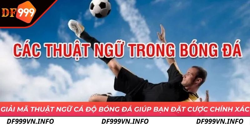 Thuật ngữ cá độ bóng đá phổ biến để tăng cơ hội chiến thắng